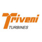 Triveni Turbines