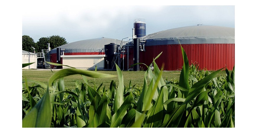 The use of cogeneration in agriculture